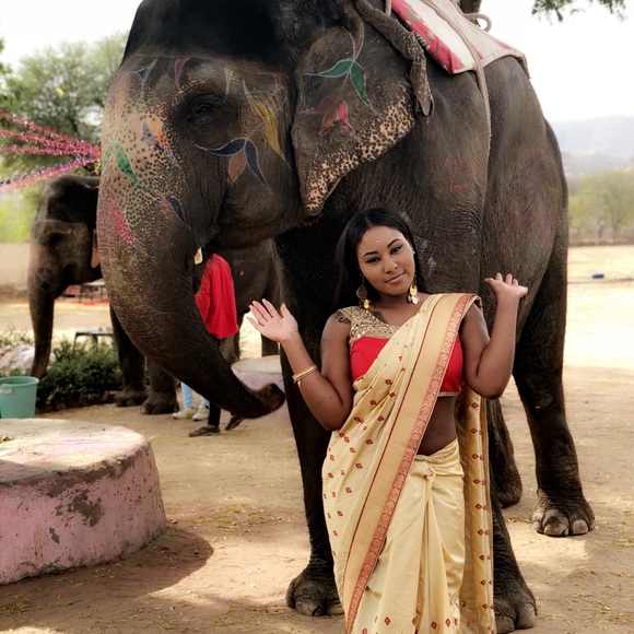 Dresses & Skirts - Authentic Indian saree